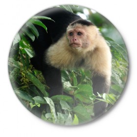 Значок с принтом Обезьянка в джунглях в Новосибирске,  металл | круглая форма, металлическая застежка в виде булавки | бабуин | гамадрил | гиббон | горилла | гуманоид | дарвин | животное | зоопарк | кинг конг | мартышка | маугли | обезьяна | орангутанг | предок | примат | рожа | хомо сапиенс | шимпанзе