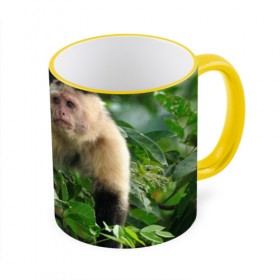 Кружка 3D с принтом Обезьянка в джунглях в Новосибирске, керамика | ёмкость 330 мл | Тематика изображения на принте: бабуин | гамадрил | гиббон | горилла | гуманоид | дарвин | животное | зоопарк | кинг конг | мартышка | маугли | обезьяна | орангутанг | предок | примат | рожа | хомо сапиенс | шимпанзе
