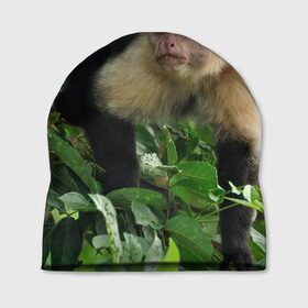 Шапка 3D с принтом Обезьянка в джунглях в Новосибирске, 100% полиэстер | универсальный размер, печать по всей поверхности изделия | Тематика изображения на принте: бабуин | гамадрил | гиббон | горилла | гуманоид | дарвин | животное | зоопарк | кинг конг | мартышка | маугли | обезьяна | орангутанг | предок | примат | рожа | хомо сапиенс | шимпанзе