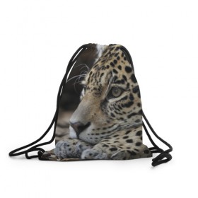 Рюкзак-мешок 3D с принтом Леопард в Новосибирске, 100% полиэстер | плотность ткани — 200 г/м2, размер — 35 х 45 см; лямки — толстые шнурки, застежка на шнуровке, без карманов и подкладки | властелин | грация | животные | зверь | кот | кошачий | кошки | крупный | леопард | лес | милый | млекопитающее | природа | пятна | рыжий | усатый | усы | фауна | флора | хищник | хозяин | царь джунгли