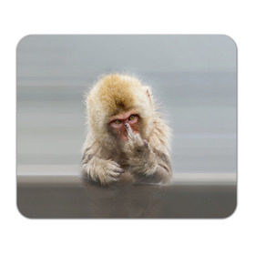Коврик прямоугольный с принтом Японская макака в Новосибирске, натуральный каучук | размер 230 х 185 мм; запечатка лицевой стороны | макак | мартышка | обезьяна | палец | япония