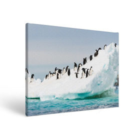 Холст прямоугольный с принтом Пингвины на айсберге в Новосибирске, 100% ПВХ |  | Тематика изображения на принте: айсберг | антарктида | антарктика | арктика | буревестник | глупый | императорский | клюв | королевский | крылья | ласты | лёд | линукс | океан | пилигрим | полюс | птица | север | снег | умка | фрак