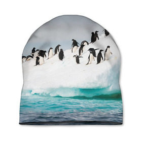 Шапка 3D с принтом Пингвины на айсберге в Новосибирске, 100% полиэстер | универсальный размер, печать по всей поверхности изделия | айсберг | антарктида | антарктика | арктика | буревестник | глупый | императорский | клюв | королевский | крылья | ласты | лёд | линукс | океан | пилигрим | полюс | птица | север | снег | умка | фрак