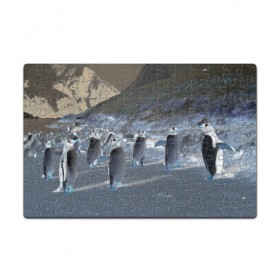 Пазл магнитный 126 элементов с принтом Ночные пингвины в горах в Новосибирске, полимерный материал с магнитным слоем | 126 деталей, размер изделия —  180*270 мм | 