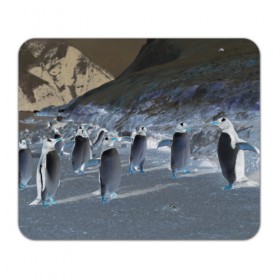 Коврик прямоугольный с принтом Ночные пингвины в горах в Новосибирске, натуральный каучук | размер 230 х 185 мм; запечатка лицевой стороны | 