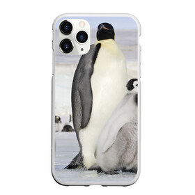 Чехол для iPhone 11 Pro Max матовый с принтом Пингвин и пингвинята в Новосибирске, Силикон |  | Тематика изображения на принте: айсберг | антарктида | антарктика | арктика | буревестник | глупый | императорский | клюв | королевский | крылья | ласты | лёд | линукс | океан | пилигрим | полюс | птица | север | снег | умка | фрак