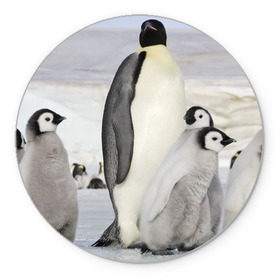 Коврик круглый с принтом Пингвин и пингвинята в Новосибирске, резина и полиэстер | круглая форма, изображение наносится на всю лицевую часть | айсберг | антарктида | антарктика | арктика | буревестник | глупый | императорский | клюв | королевский | крылья | ласты | лёд | линукс | океан | пилигрим | полюс | птица | север | снег | умка | фрак