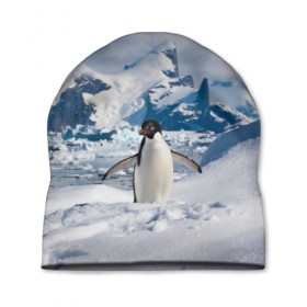 Шапка 3D с принтом Пингвин в горах в Новосибирске, 100% полиэстер | универсальный размер, печать по всей поверхности изделия | айсберг | антарктида | антарктика | арктика | буревестник | глупый | императорский | клюв | королевский | крылья | ласты | лёд | линукс | океан | пилигрим | полюс | птица | север | снег | умка | фрак