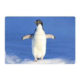 Магнитный плакат 3Х2 с принтом Пингвин в Новосибирске, Полимерный материал с магнитным слоем | 6 деталей размером 9*9 см | айсберг | антарктида | антарктика | арктика | буревестник | глупый | императорский | клюв | королевский | крылья | ласты | лёд | линукс | океан | пилигрим | полюс | птица | север | снег | умка | фрак