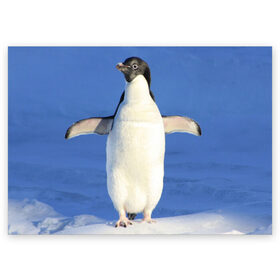Поздравительная открытка с принтом Пингвин в Новосибирске, 100% бумага | плотность бумаги 280 г/м2, матовая, на обратной стороне линовка и место для марки
 | айсберг | антарктида | антарктика | арктика | буревестник | глупый | императорский | клюв | королевский | крылья | ласты | лёд | линукс | океан | пилигрим | полюс | птица | север | снег | умка | фрак