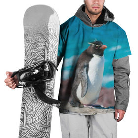 Накидка на куртку 3D с принтом Пингвин в Новосибирске, 100% полиэстер |  | айсберг | антарктида | антарктика | арктика | буревестник | глупый | императорский | клюв | королевский | крылья | ласты | лёд | линукс | океан | пилигрим | полюс | птица | север | снег | умка | фрак