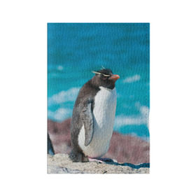 Обложка для паспорта матовая кожа с принтом Пингвин в Новосибирске, натуральная матовая кожа | размер 19,3 х 13,7 см; прозрачные пластиковые крепления | Тематика изображения на принте: айсберг | антарктида | антарктика | арктика | буревестник | глупый | императорский | клюв | королевский | крылья | ласты | лёд | линукс | океан | пилигрим | полюс | птица | север | снег | умка | фрак