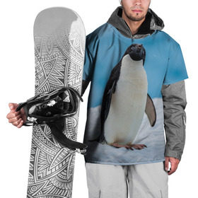 Накидка на куртку 3D с принтом Пингвин на айсберге в Новосибирске, 100% полиэстер |  | айсберг | антарктида | антарктика | арктика | буревестник | глупый | императорский | клюв | королевский | крылья | ласты | лёд | линукс | океан | пилигрим | полюс | птица | север | снег | умка | фрак