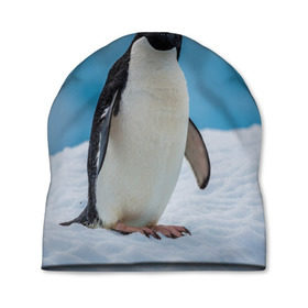 Шапка 3D с принтом Пингвин на айсберге в Новосибирске, 100% полиэстер | универсальный размер, печать по всей поверхности изделия | айсберг | антарктида | антарктика | арктика | буревестник | глупый | императорский | клюв | королевский | крылья | ласты | лёд | линукс | океан | пилигрим | полюс | птица | север | снег | умка | фрак
