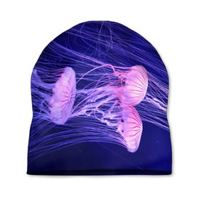 Шапка 3D с принтом Розовые медузы в Новосибирске, 100% полиэстер | универсальный размер, печать по всей поверхности изделия | аквариум | вода | дайвинг | милые | море | океан | плывет | подводный мир | рыбалка | рыбка | рыбы | стая | фауна
