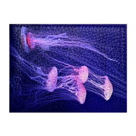 Обложка для студенческого билета с принтом Розовые медузы в Новосибирске, натуральная кожа | Размер: 11*8 см; Печать на всей внешней стороне | Тематика изображения на принте: аквариум | вода | дайвинг | милые | море | океан | плывет | подводный мир | рыбалка | рыбка | рыбы | стая | фауна