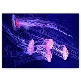 Поздравительная открытка с принтом Розовые медузы в Новосибирске, 100% бумага | плотность бумаги 280 г/м2, матовая, на обратной стороне линовка и место для марки
 | аквариум | вода | дайвинг | милые | море | океан | плывет | подводный мир | рыбалка | рыбка | рыбы | стая | фауна