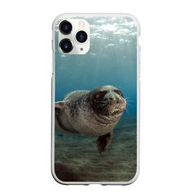 Чехол для iPhone 11 Pro матовый с принтом Тюлень под водой в Новосибирске, Силикон |  | вода | дайвинг | жирный | косяк | красивые | милые | море | морская | морской котик | океан | плывет | подводный мир | прикольные | речная | рыба | рыбалка | стая | тюлень | усатый кот | фауна | чешуя