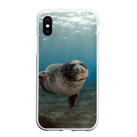 Чехол для iPhone XS Max матовый с принтом Тюлень под водой в Новосибирске, Силикон | Область печати: задняя сторона чехла, без боковых панелей | вода | дайвинг | жирный | косяк | красивые | милые | море | морская | морской котик | океан | плывет | подводный мир | прикольные | речная | рыба | рыбалка | стая | тюлень | усатый кот | фауна | чешуя