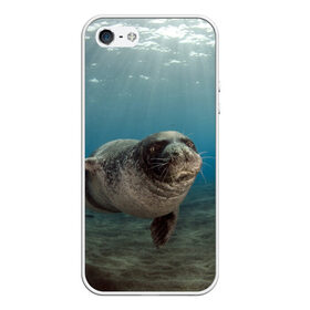 Чехол для iPhone 5/5S матовый с принтом Тюлень под водой в Новосибирске, Силикон | Область печати: задняя сторона чехла, без боковых панелей | вода | дайвинг | жирный | косяк | красивые | милые | море | морская | морской котик | океан | плывет | подводный мир | прикольные | речная | рыба | рыбалка | стая | тюлень | усатый кот | фауна | чешуя