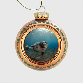 Стеклянный ёлочный шар с принтом Тюлень под водой в Новосибирске, Стекло | Диаметр: 80 мм | вода | дайвинг | жирный | косяк | красивые | милые | море | морская | морской котик | океан | плывет | подводный мир | прикольные | речная | рыба | рыбалка | стая | тюлень | усатый кот | фауна | чешуя