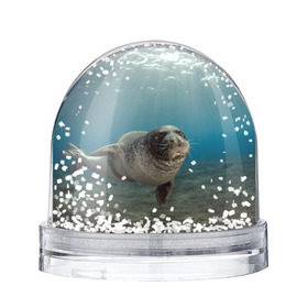 Снежный шар с принтом Тюлень под водой в Новосибирске, Пластик | Изображение внутри шара печатается на глянцевой фотобумаге с двух сторон | вода | дайвинг | жирный | косяк | красивые | милые | море | морская | морской котик | океан | плывет | подводный мир | прикольные | речная | рыба | рыбалка | стая | тюлень | усатый кот | фауна | чешуя