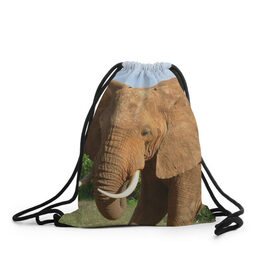 Рюкзак-мешок 3D с принтом Слон в Новосибирске, 100% полиэстер | плотность ткани — 200 г/м2, размер — 35 х 45 см; лямки — толстые шнурки, застежка на шнуровке, без карманов и подкладки | 