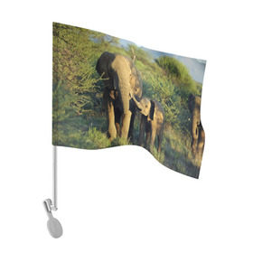 Флаг для автомобиля с принтом Слониха и слоненок в природе в Новосибирске, 100% полиэстер | Размер: 30*21 см | африка | африканский | бивни | большой | гигант джунгли | зоопарк | индийский | индия | лесной великан | мамонт | огромный | саванна | сафари | серый | слон | слоненок | слониха | стадо | уши | хобот