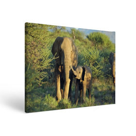 Холст прямоугольный с принтом Слониха и слоненок в природе в Новосибирске, 100% ПВХ |  | Тематика изображения на принте: африка | африканский | бивни | большой | гигант джунгли | зоопарк | индийский | индия | лесной великан | мамонт | огромный | саванна | сафари | серый | слон | слоненок | слониха | стадо | уши | хобот