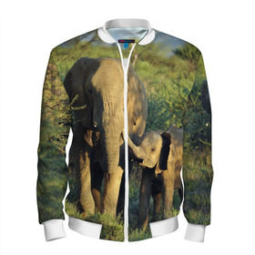 Мужской бомбер 3D с принтом Слониха и слоненок в природе в Новосибирске, 100% полиэстер | застегивается на молнию, по бокам два кармана без застежек, по низу бомбера и на воротнике - эластичная резинка | Тематика изображения на принте: африка | африканский | бивни | большой | гигант джунгли | зоопарк | индийский | индия | лесной великан | мамонт | огромный | саванна | сафари | серый | слон | слоненок | слониха | стадо | уши | хобот