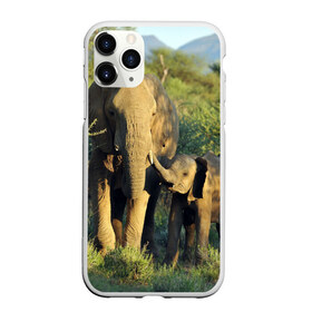 Чехол для iPhone 11 Pro матовый с принтом Слониха и слоненок в природе в Новосибирске, Силикон |  | африка | африканский | бивни | большой | гигант джунгли | зоопарк | индийский | индия | лесной великан | мамонт | огромный | саванна | сафари | серый | слон | слоненок | слониха | стадо | уши | хобот