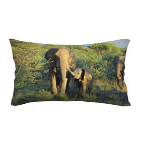 Подушка 3D антистресс с принтом Слониха и слоненок в природе в Новосибирске, наволочка — 100% полиэстер, наполнитель — вспененный полистирол | состоит из подушки и наволочки на молнии | африка | африканский | бивни | большой | гигант джунгли | зоопарк | индийский | индия | лесной великан | мамонт | огромный | саванна | сафари | серый | слон | слоненок | слониха | стадо | уши | хобот