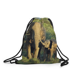 Рюкзак-мешок 3D с принтом Слониха и слоненок в природе в Новосибирске, 100% полиэстер | плотность ткани — 200 г/м2, размер — 35 х 45 см; лямки — толстые шнурки, застежка на шнуровке, без карманов и подкладки | африка | африканский | бивни | большой | гигант джунгли | зоопарк | индийский | индия | лесной великан | мамонт | огромный | саванна | сафари | серый | слон | слоненок | слониха | стадо | уши | хобот