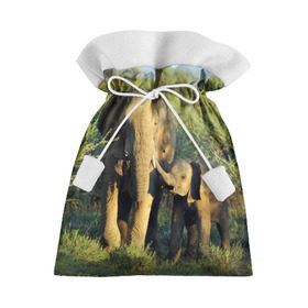 Подарочный 3D мешок с принтом Слониха и слоненок в природе в Новосибирске, 100% полиэстер | Размер: 29*39 см | Тематика изображения на принте: африка | африканский | бивни | большой | гигант джунгли | зоопарк | индийский | индия | лесной великан | мамонт | огромный | саванна | сафари | серый | слон | слоненок | слониха | стадо | уши | хобот