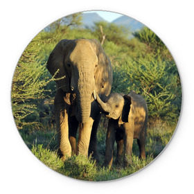 Коврик круглый с принтом Слониха и слоненок в природе в Новосибирске, резина и полиэстер | круглая форма, изображение наносится на всю лицевую часть | африка | африканский | бивни | большой | гигант джунгли | зоопарк | индийский | индия | лесной великан | мамонт | огромный | саванна | сафари | серый | слон | слоненок | слониха | стадо | уши | хобот