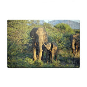 Пазл магнитный 126 элементов с принтом Слониха и слоненок в природе в Новосибирске, полимерный материал с магнитным слоем | 126 деталей, размер изделия —  180*270 мм | африка | африканский | бивни | большой | гигант джунгли | зоопарк | индийский | индия | лесной великан | мамонт | огромный | саванна | сафари | серый | слон | слоненок | слониха | стадо | уши | хобот