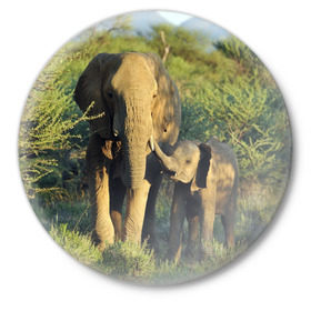 Значок с принтом Слониха и слоненок в природе в Новосибирске,  металл | круглая форма, металлическая застежка в виде булавки | африка | африканский | бивни | большой | гигант джунгли | зоопарк | индийский | индия | лесной великан | мамонт | огромный | саванна | сафари | серый | слон | слоненок | слониха | стадо | уши | хобот