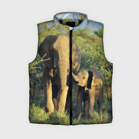 Женский жилет утепленный 3D с принтом Слониха и слоненок в природе в Новосибирске,  |  | африка | африканский | бивни | большой | гигант джунгли | зоопарк | индийский | индия | лесной великан | мамонт | огромный | саванна | сафари | серый | слон | слоненок | слониха | стадо | уши | хобот