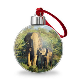 Ёлочный шар с принтом Слониха и слоненок в природе в Новосибирске, Пластик | Диаметр: 77 мм | африка | африканский | бивни | большой | гигант джунгли | зоопарк | индийский | индия | лесной великан | мамонт | огромный | саванна | сафари | серый | слон | слоненок | слониха | стадо | уши | хобот