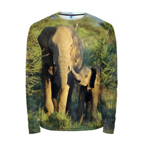 Мужской лонгслив 3D с принтом Слониха и слоненок в природе в Новосибирске, 100% полиэстер | длинные рукава, круглый вырез горловины, полуприлегающий силуэт | африка | африканский | бивни | большой | гигант джунгли | зоопарк | индийский | индия | лесной великан | мамонт | огромный | саванна | сафари | серый | слон | слоненок | слониха | стадо | уши | хобот