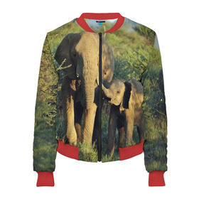 Женский бомбер 3D с принтом Слониха и слоненок в природе в Новосибирске, 100% полиэстер | застегивается на молнию, по бокам два кармана без застежек, мягкие манжеты, по низу бомбера и на воротнике — эластичная резинка | африка | африканский | бивни | большой | гигант джунгли | зоопарк | индийский | индия | лесной великан | мамонт | огромный | саванна | сафари | серый | слон | слоненок | слониха | стадо | уши | хобот