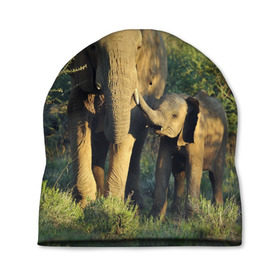 Шапка 3D с принтом Слониха и слоненок в природе в Новосибирске, 100% полиэстер | универсальный размер, печать по всей поверхности изделия | африка | африканский | бивни | большой | гигант джунгли | зоопарк | индийский | индия | лесной великан | мамонт | огромный | саванна | сафари | серый | слон | слоненок | слониха | стадо | уши | хобот