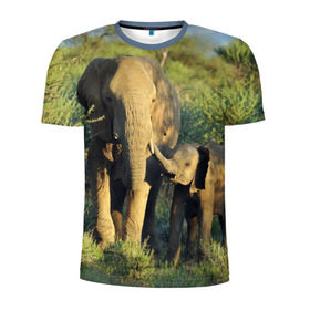 Мужская футболка 3D спортивная с принтом Слониха и слоненок в природе в Новосибирске, 100% полиэстер с улучшенными характеристиками | приталенный силуэт, круглая горловина, широкие плечи, сужается к линии бедра | африка | африканский | бивни | большой | гигант джунгли | зоопарк | индийский | индия | лесной великан | мамонт | огромный | саванна | сафари | серый | слон | слоненок | слониха | стадо | уши | хобот