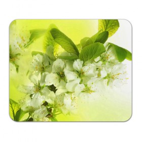Коврик прямоугольный с принтом Цветы яблони в Новосибирске, натуральный каучук | размер 230 х 185 мм; запечатка лицевой стороны | Тематика изображения на принте: белый | весна | дерево | зеленый | природа | растения | цветы | яблоня