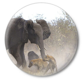Значок с принтом Гиены охотятся на слона в Новосибирске,  металл | круглая форма, металлическая застежка в виде булавки | Тематика изображения на принте: африка | африканский | бивни | большой | гигант джунгли | гиены | индийский | индия | лесной великан | мамонт | огромный | охота | саванна | сафари | серый | слон | слониха | стадо | уши | хобот