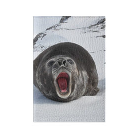 Обложка для паспорта матовая кожа с принтом Морской котик в Новосибирске, натуральная матовая кожа | размер 19,3 х 13,7 см; прозрачные пластиковые крепления | антарктида | антарктика | большой | вода | гигант | жир | кот | котик | ледовитый | море | мороз | морской | нос | огромный | океан | пасть | север | серый | слониха | снег | тюлень | усы | холод | язык