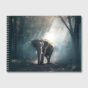 Альбом для рисования с принтом Слон в лесу в Новосибирске, 100% бумага
 | матовая бумага, плотность 200 мг. | Тематика изображения на принте: африка | африканский | бивни | большой | гигант джунгли | зоопарк | индийский | индия | лесной великан | мамонт | огромный | саванна | сафари | серый | слон | слоненок | слониха | стадо | уши | хобот