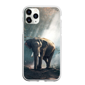 Чехол для iPhone 11 Pro матовый с принтом Слон в лесу в Новосибирске, Силикон |  | африка | африканский | бивни | большой | гигант джунгли | зоопарк | индийский | индия | лесной великан | мамонт | огромный | саванна | сафари | серый | слон | слоненок | слониха | стадо | уши | хобот