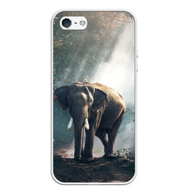Чехол для iPhone 5/5S матовый с принтом Слон в лесу в Новосибирске, Силикон | Область печати: задняя сторона чехла, без боковых панелей | африка | африканский | бивни | большой | гигант джунгли | зоопарк | индийский | индия | лесной великан | мамонт | огромный | саванна | сафари | серый | слон | слоненок | слониха | стадо | уши | хобот