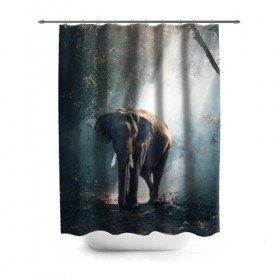 Штора 3D для ванной с принтом Слон в лесу в Новосибирске, 100% полиэстер | плотность материала — 100 г/м2. Стандартный размер — 146 см х 180 см. По верхнему краю — пластиковые люверсы для креплений. В комплекте 10 пластиковых колец | африка | африканский | бивни | большой | гигант джунгли | зоопарк | индийский | индия | лесной великан | мамонт | огромный | саванна | сафари | серый | слон | слоненок | слониха | стадо | уши | хобот